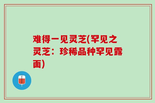难得一见灵芝(罕见之灵芝：珍稀品种罕见露面)