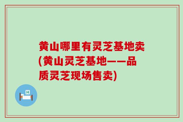 黄山哪里有灵芝基地卖(黄山灵芝基地——品质灵芝现场售卖)