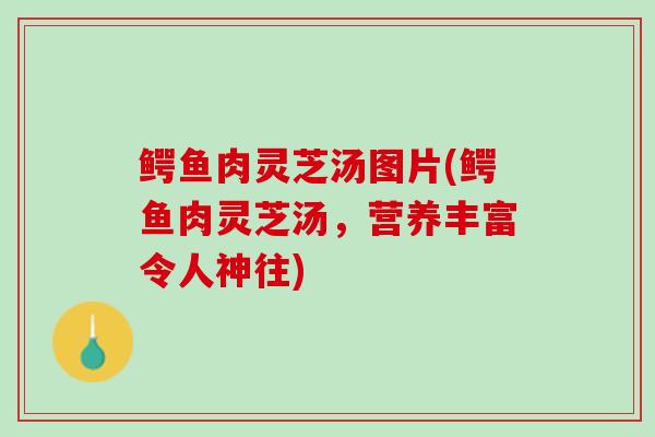 鳄鱼肉灵芝汤图片(鳄鱼肉灵芝汤，营养丰富令人神往)