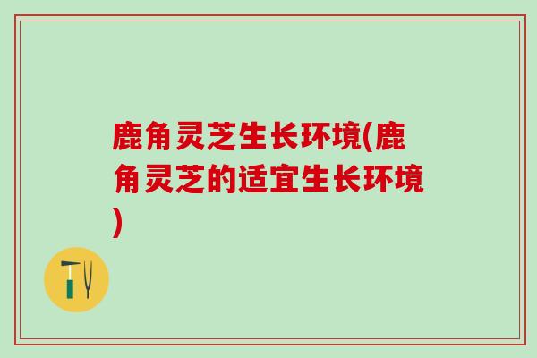 鹿角灵芝生长环境(鹿角灵芝的适宜生长环境)