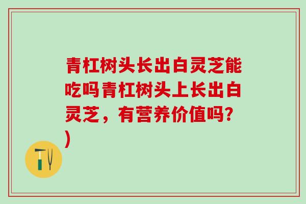青杠树头长出白灵芝能吃吗青杠树头上长出白灵芝，有营养价值吗？)