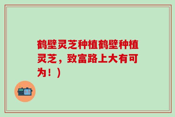 鹤壁灵芝种植鹤壁种植灵芝，致富路上大有可为！)