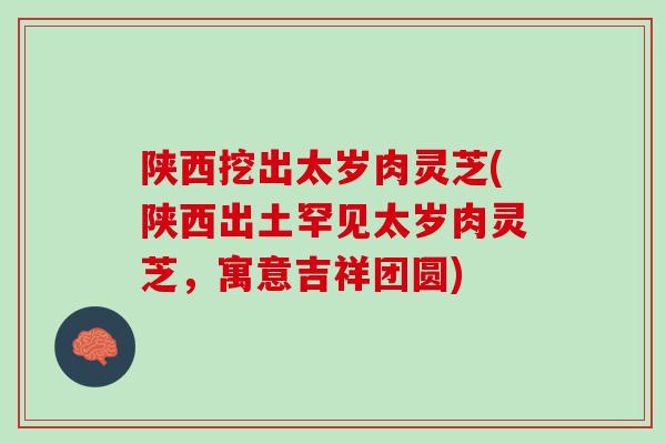 陕西挖出太岁肉灵芝(陕西出土罕见太岁肉灵芝，寓意吉祥团圆)