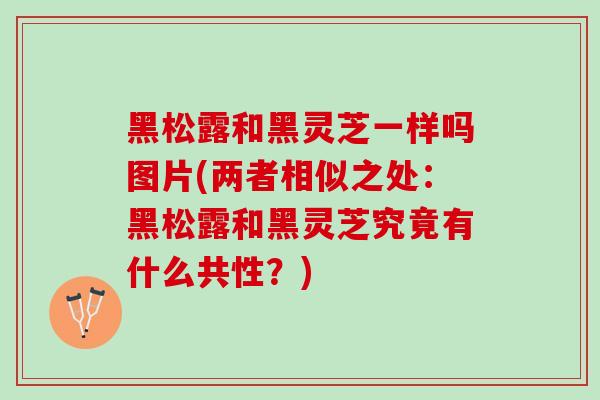 黑松露和黑灵芝一样吗图片(两者相似之处：黑松露和黑灵芝究竟有什么共性？)
