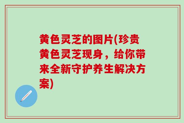 黄色灵芝的图片(珍贵黄色灵芝现身，给你带来全新守护养生解决方案)