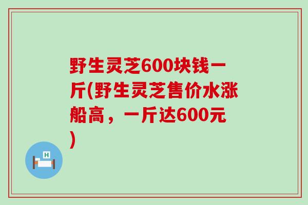 野生灵芝600块钱一斤(野生灵芝售价水涨船高，一斤达600元)
