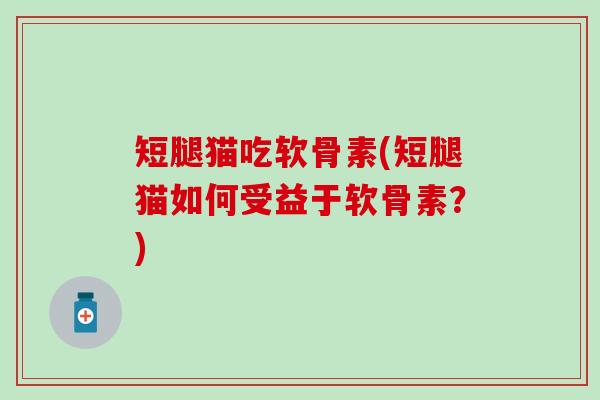 短腿猫吃软骨素(短腿猫如何受益于软骨素？)