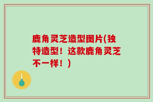 鹿角灵芝造型图片(独特造型！这款鹿角灵芝不一样！)