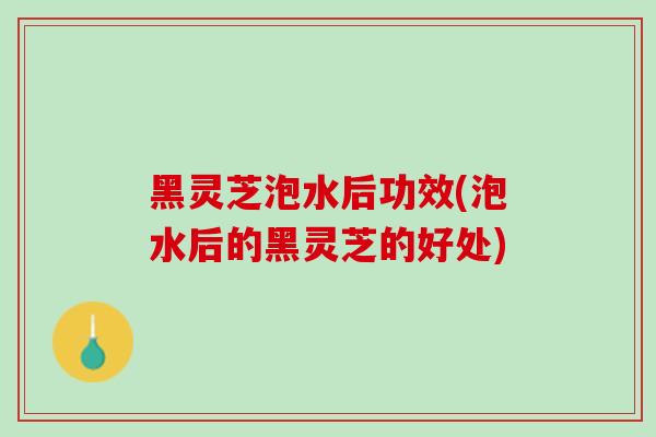 黑灵芝泡水后功效(泡水后的黑灵芝的好处)