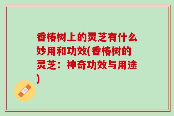 香椿树上的灵芝有什么妙用和功效(香椿树的灵芝：神奇功效与用途)