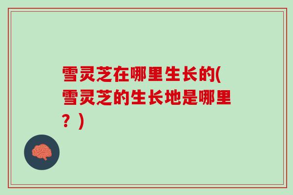 雪灵芝在哪里生长的(雪灵芝的生长地是哪里？)