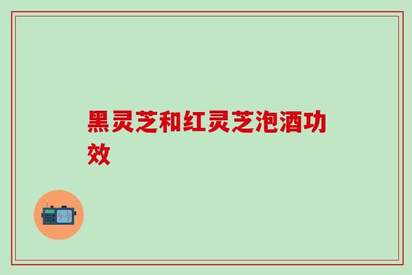 黑灵芝和红灵芝泡酒功效