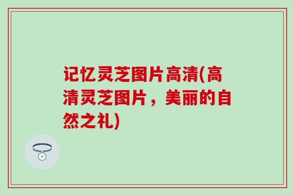 记忆灵芝图片高清(高清灵芝图片，美丽的自然之礼)