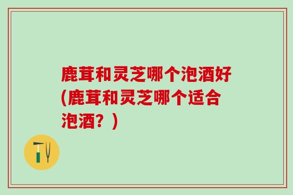 鹿茸和灵芝哪个泡酒好(鹿茸和灵芝哪个适合泡酒？)