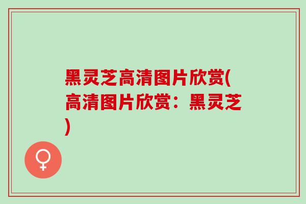 黑灵芝高清图片欣赏(高清图片欣赏：黑灵芝)