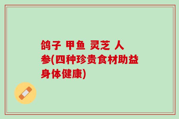 鸽子 甲鱼 灵芝 人参(四种珍贵食材助益身体健康)