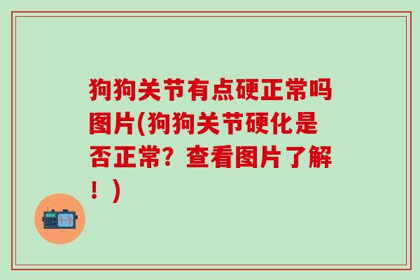 狗狗关节有点硬正常吗图片(狗狗关节硬化是否正常？查看图片了解！)