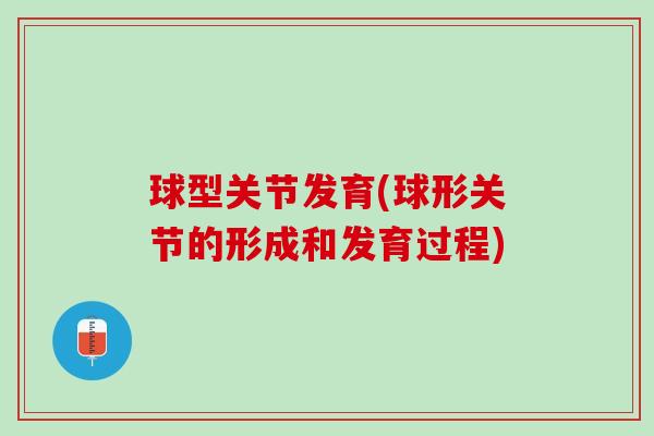 球型关节发育(球形关节的形成和发育过程)