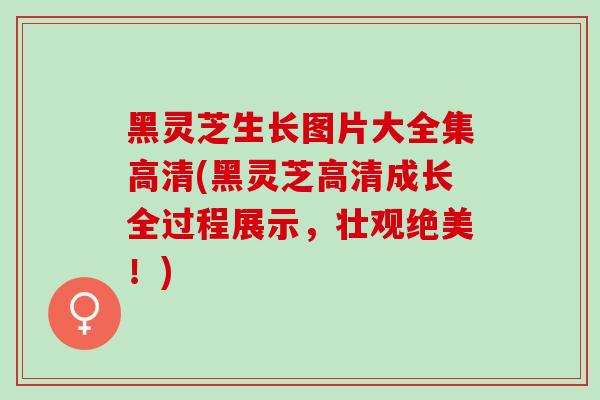黑灵芝生长图片大全集高清(黑灵芝高清成长全过程展示，壮观绝美！)