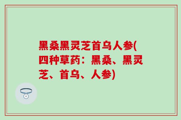 黑桑黑灵芝首乌人参(四种草药：黑桑、黑灵芝、首乌、人参)