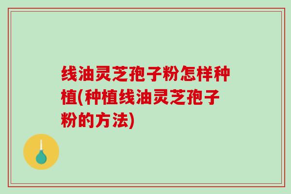 线油灵芝孢子粉怎样种植(种植线油灵芝孢子粉的方法)