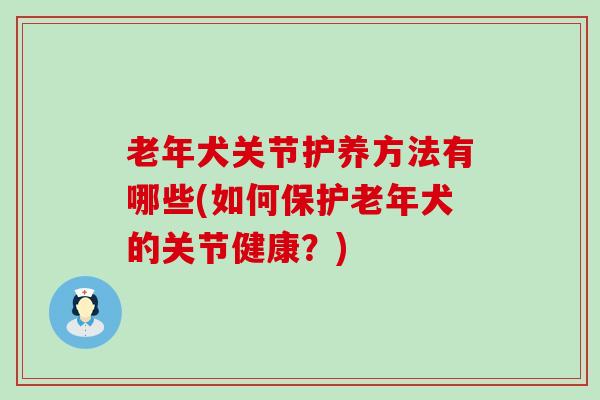 老年犬关节护养方法有哪些(如何保护老年犬的关节健康？)