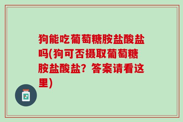 狗能吃葡萄糖胺盐酸盐吗(狗可否摄取葡萄糖胺盐酸盐？答案请看这里)