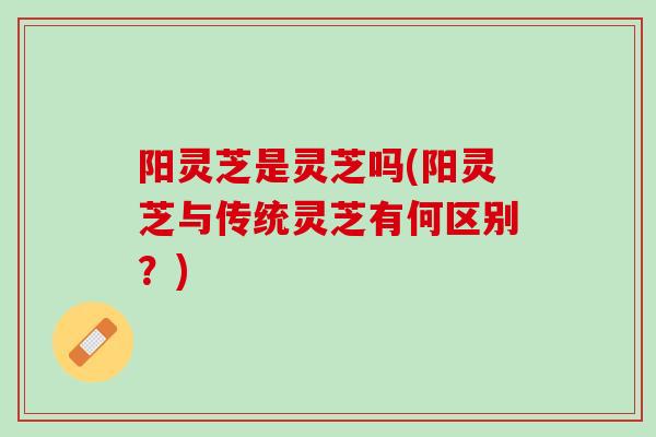 阳灵芝是灵芝吗(阳灵芝与传统灵芝有何区别？)