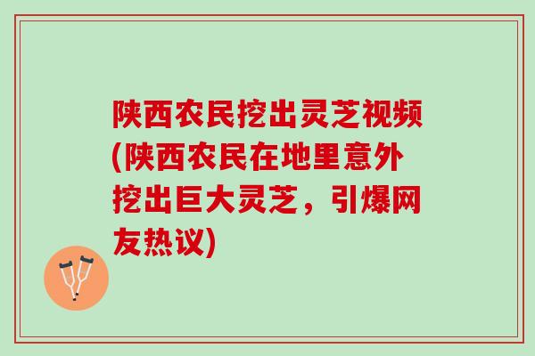 陕西农民挖出灵芝视频(陕西农民在地里意外挖出巨大灵芝，引爆网友热议)