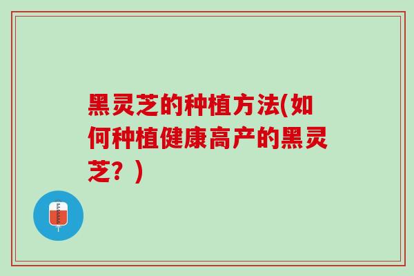 黑灵芝的种植方法(如何种植健康高产的黑灵芝？)