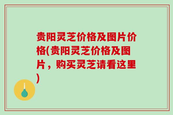 贵阳灵芝价格及图片价格(贵阳灵芝价格及图片，购买灵芝请看这里)