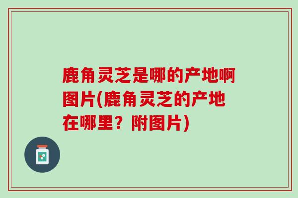 鹿角灵芝是哪的产地啊图片(鹿角灵芝的产地在哪里？附图片)