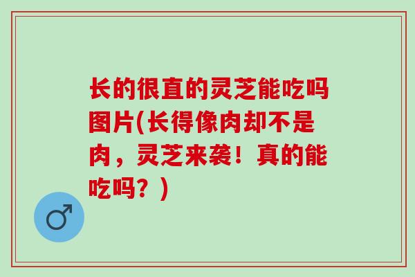 长的很直的灵芝能吃吗图片(长得像肉却不是肉，灵芝来袭！真的能吃吗？)