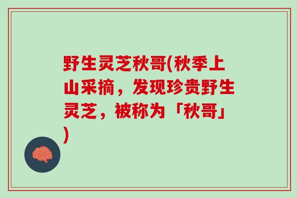 野生灵芝秋哥(秋季上山采摘，发现珍贵野生灵芝，被称为「秋哥」)