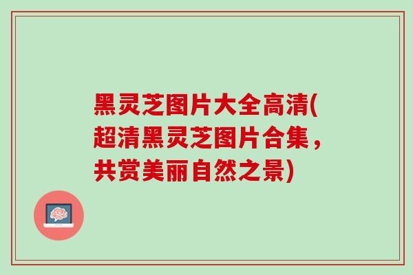 黑灵芝图片大全高清(超清黑灵芝图片合集，共赏美丽自然之景)