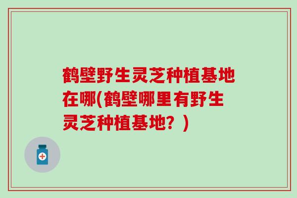 鹤壁野生灵芝种植基地在哪(鹤壁哪里有野生灵芝种植基地？)