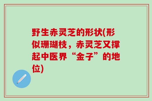野生赤灵芝的形状(形似珊瑚枝，赤灵芝又撑起中医界“金子”的地位)