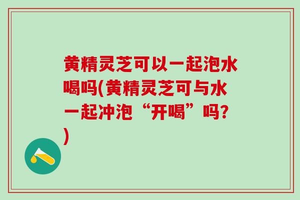 黄精灵芝可以一起泡水喝吗(黄精灵芝可与水一起冲泡“开喝”吗？)