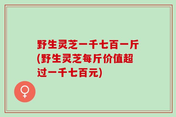 野生灵芝一千七百一斤(野生灵芝每斤价值超过一千七百元)