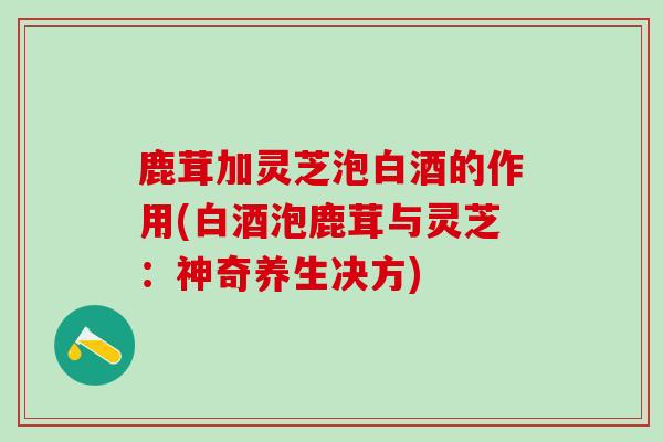 鹿茸加灵芝泡白酒的作用(白酒泡鹿茸与灵芝：神奇养生决方)