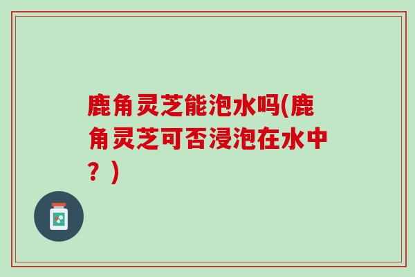 鹿角灵芝能泡水吗(鹿角灵芝可否浸泡在水中？)