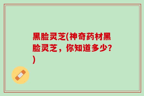 黑脸灵芝(神奇药材黑脸灵芝，你知道多少？)