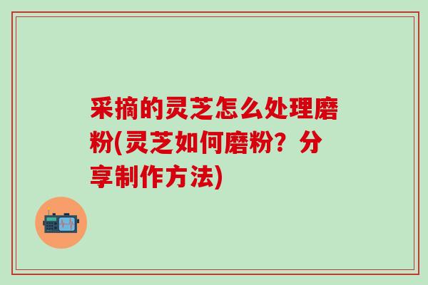 采摘的灵芝怎么处理磨粉(灵芝如何磨粉？分享制作方法)