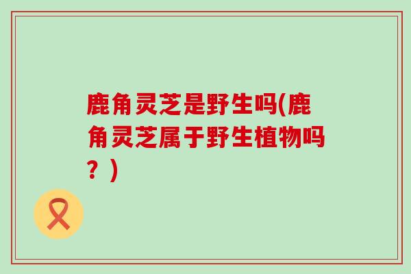 鹿角灵芝是野生吗(鹿角灵芝属于野生植物吗？)