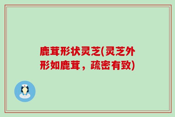 鹿茸形状灵芝(灵芝外形如鹿茸，疏密有致)