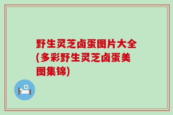野生灵芝卤蛋图片大全(多彩野生灵芝卤蛋美图集锦) 野生灵芝卤蛋图片大全(多彩野生灵芝卤蛋美图集锦)