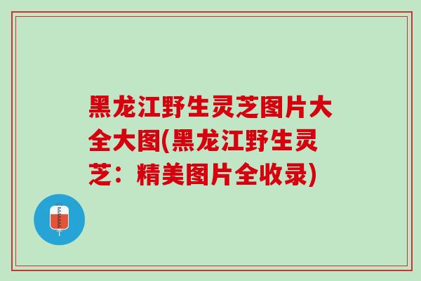 黑龙江野生灵芝图片大全大图(黑龙江野生灵芝：精美图片全收录)