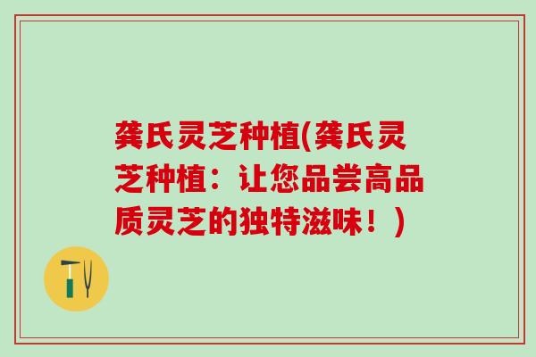 龚氏灵芝种植(龚氏灵芝种植：让您品尝高品质灵芝的独特滋味！)
