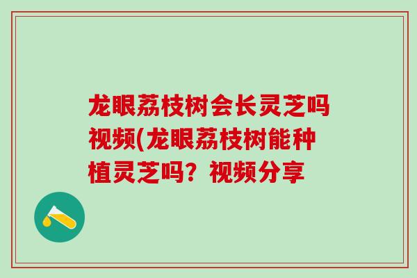 龙眼荔枝树会长灵芝吗视频(龙眼荔枝树能种植灵芝吗?视频分享 龙眼荔枝树会长灵芝吗视频(龙眼荔枝树能种植灵芝吗?视频分享