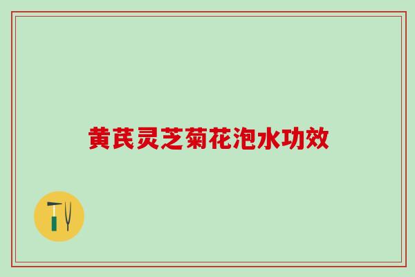 黄芪灵芝菊花泡水功效